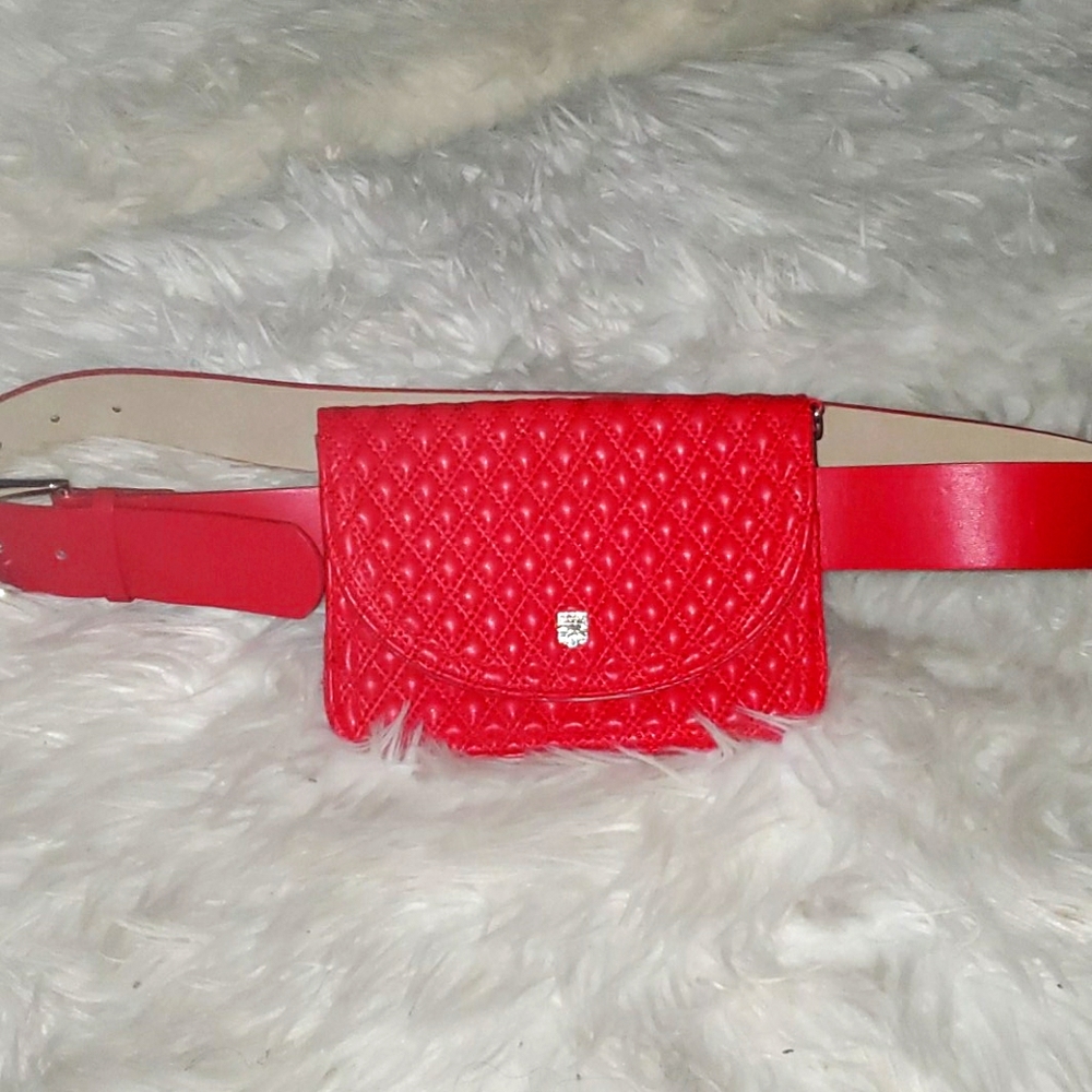 Waist purse